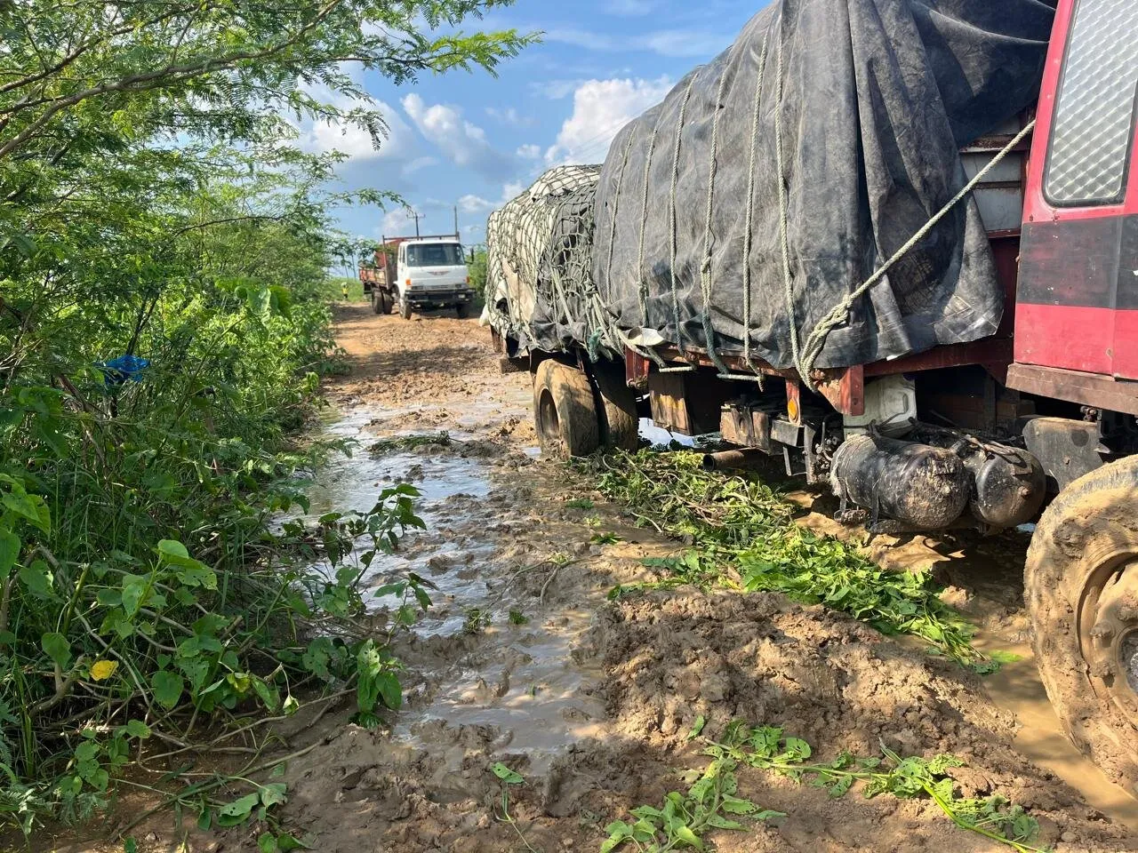 Um camião vermelho muito carregado, com a carga coberta por lona preta, atolado numa estrada de terra alagada com ramos debaixo das rodas; um segundo camião espera atrás